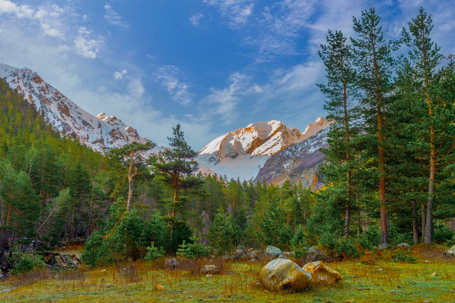 горы лес сосны, Anatoly