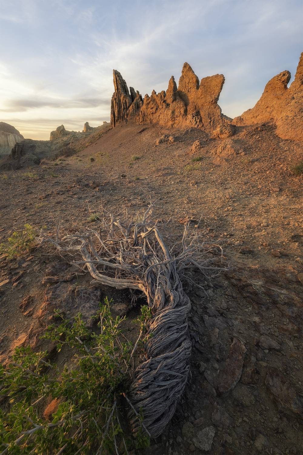казахстан, мангистау, закат, природа, сергейалтушкин, вечер, айракты, Сергей Алтушкин