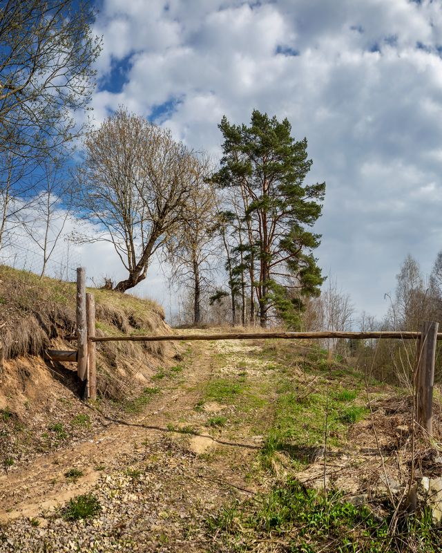 россия, весна, дорога, дерево, красиво, забор, облака, оредеж, ленинградская, область, пейзаж, Ленинградская область, Оредеж фото превью
