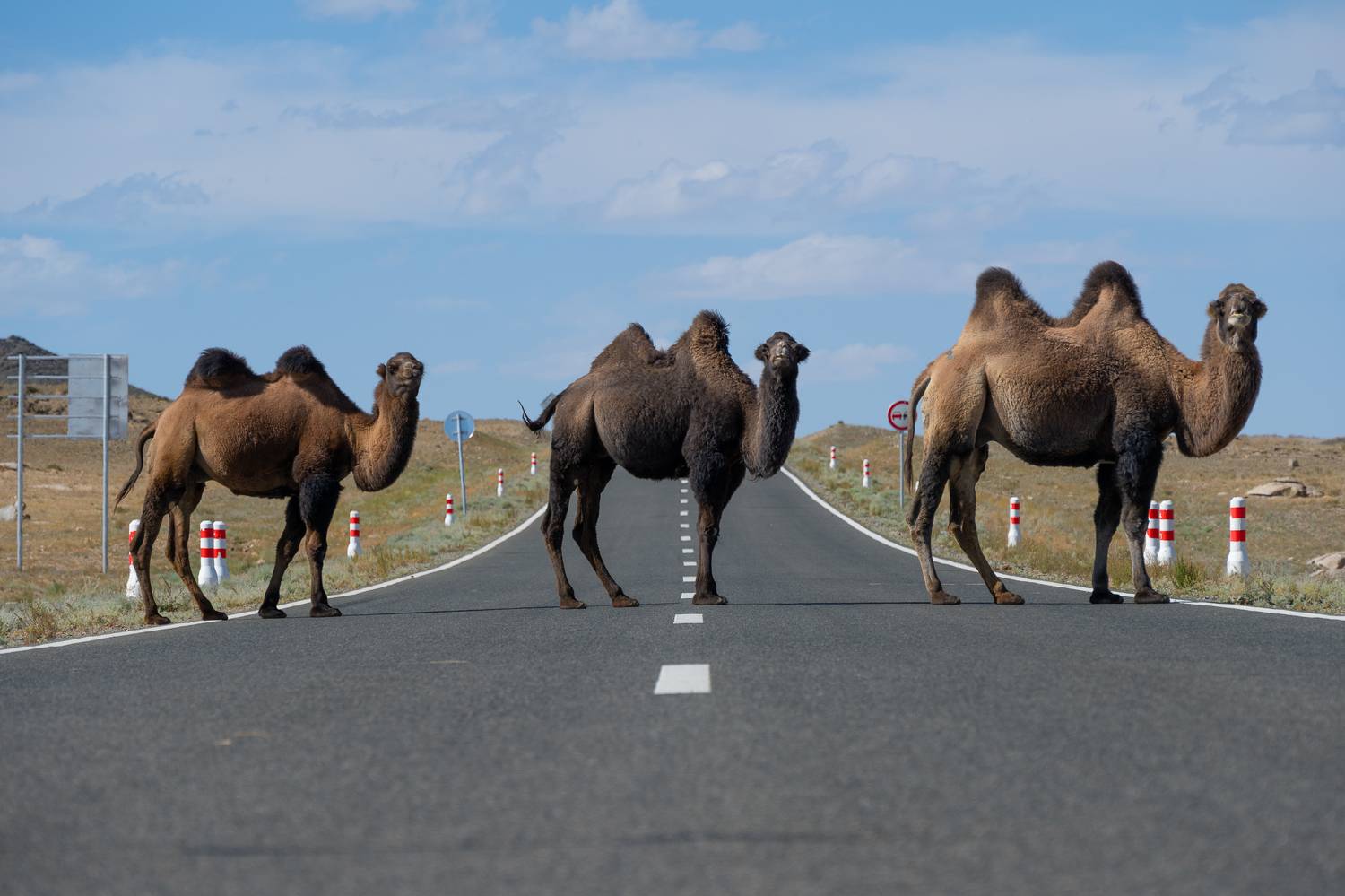 , Михайлов Иван