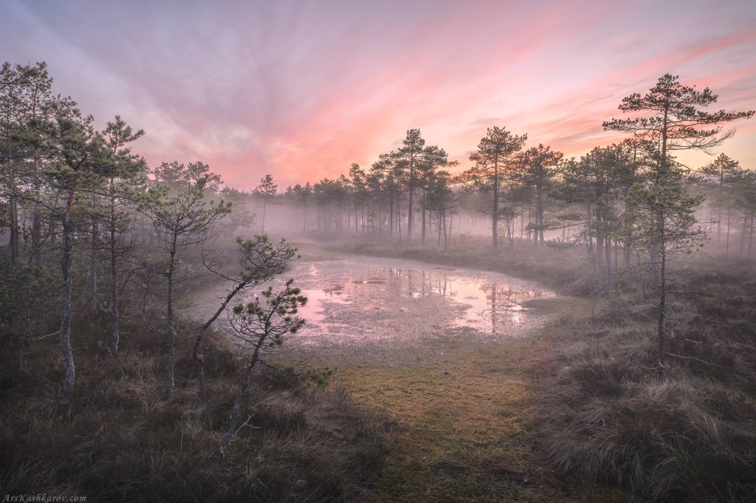болота, природа ленинградской области, пейзажи ленобласти, утренний туман, живопись северных болот, фототур, мочажина, Арсений Кашкаров