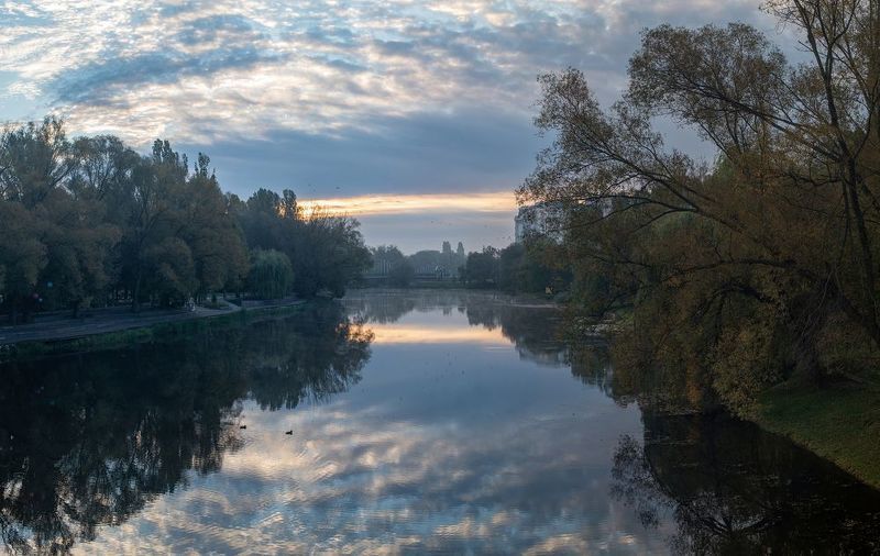 Утро в парке фото превью