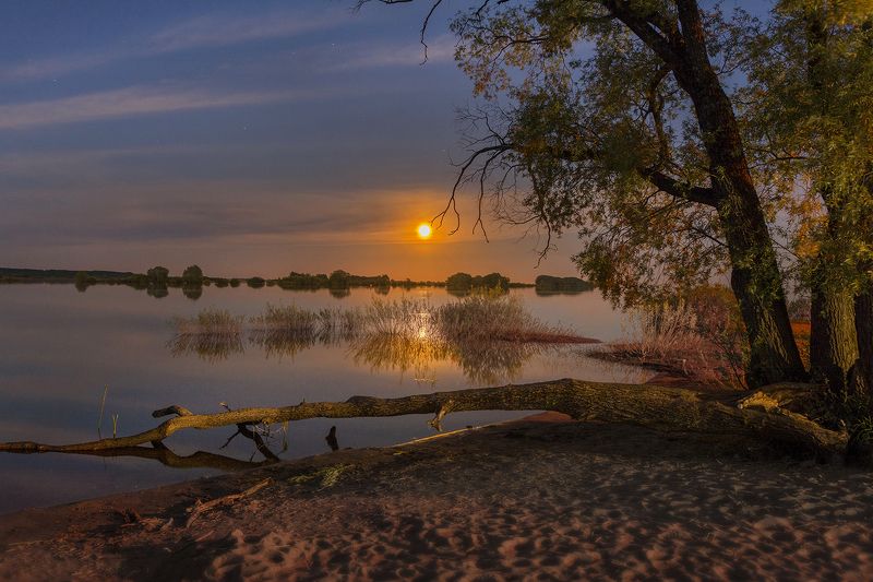 дотянуться до Луны фото превью