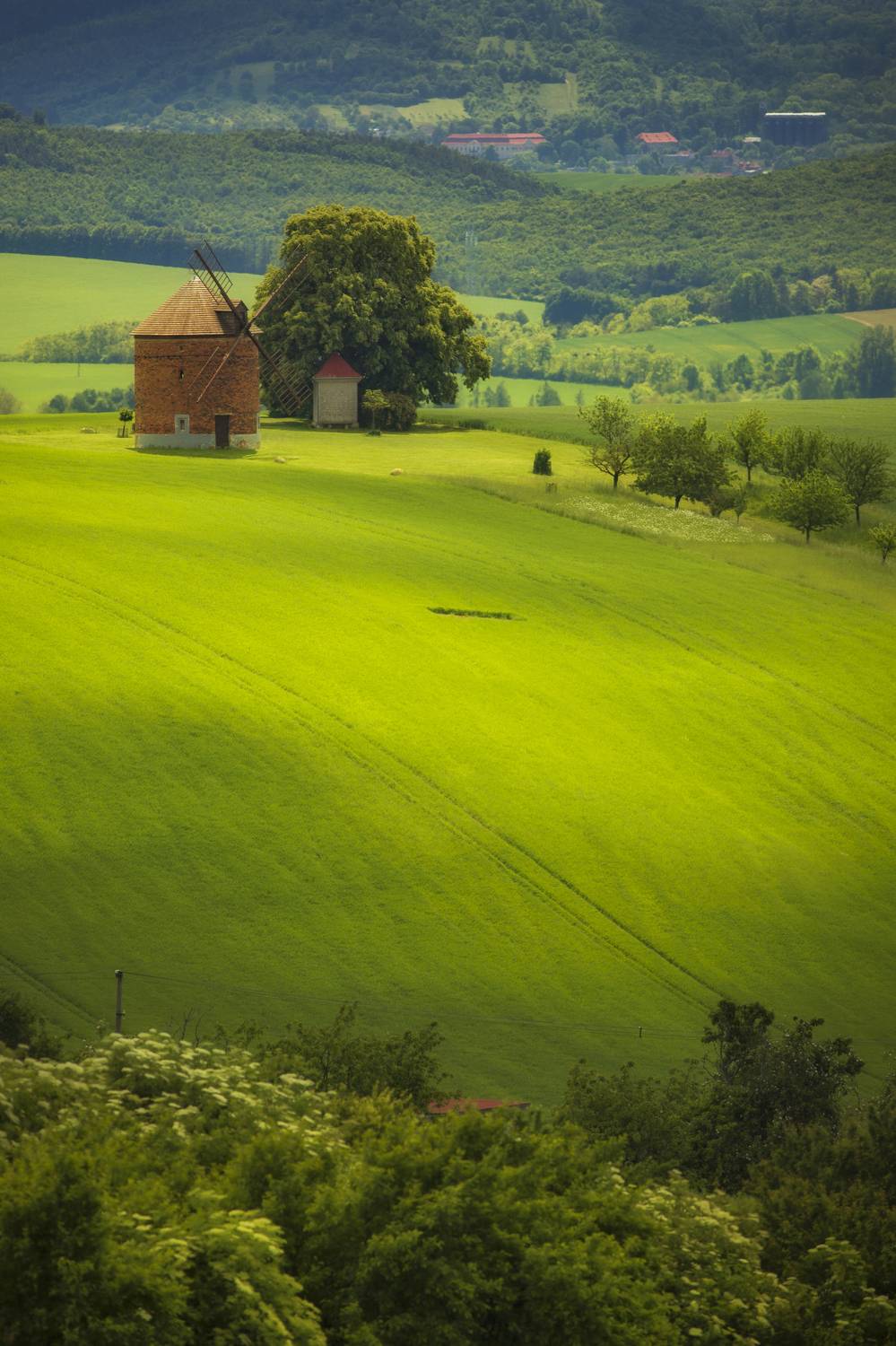 Vertical, Photography, Agricultural, Field, Nature, Agriculture, Rural, Green, Farm, Landscape, Windmill, Chvalkovice, Moravia, Moravske-Toskansko, Damian Cyfka