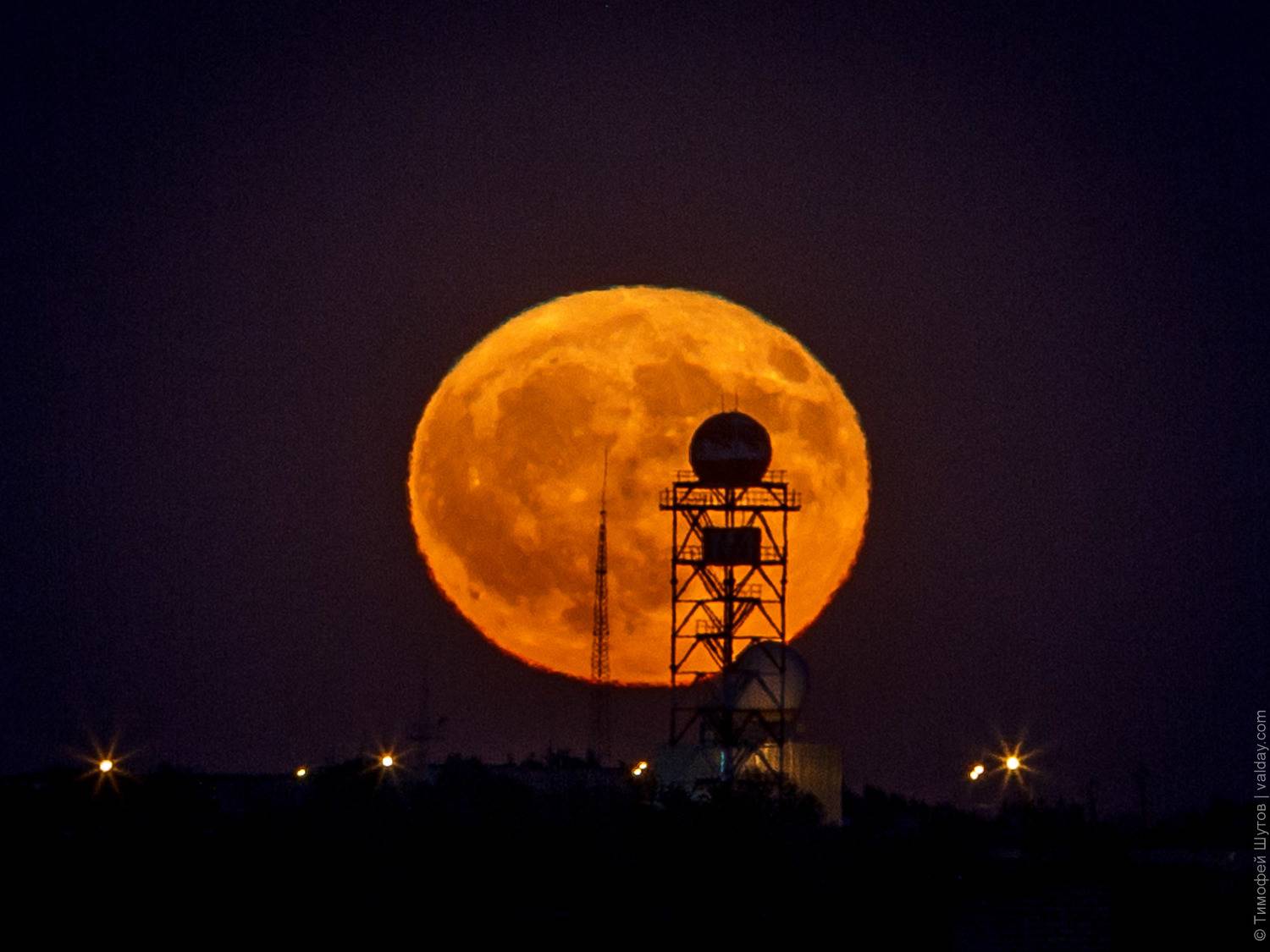 валдай, Шутов Тимофей