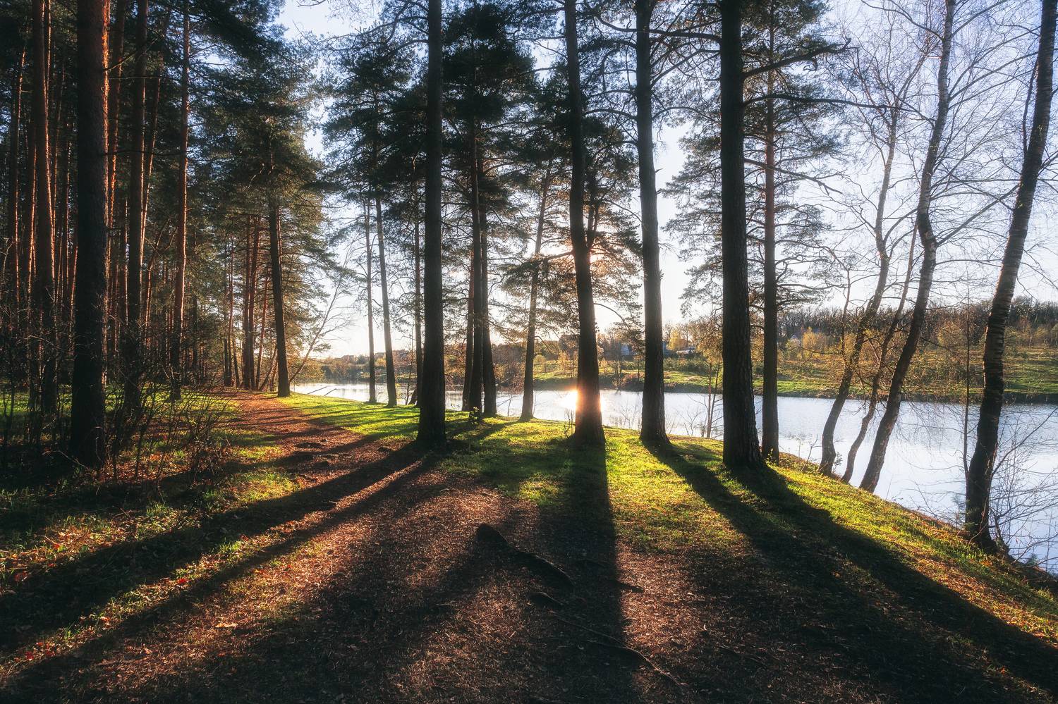 пейзаж, Московская область, природа, закат, сосны, весенний закат, Мартыненко Дмитрий