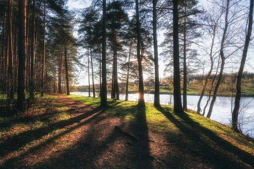 Московская область