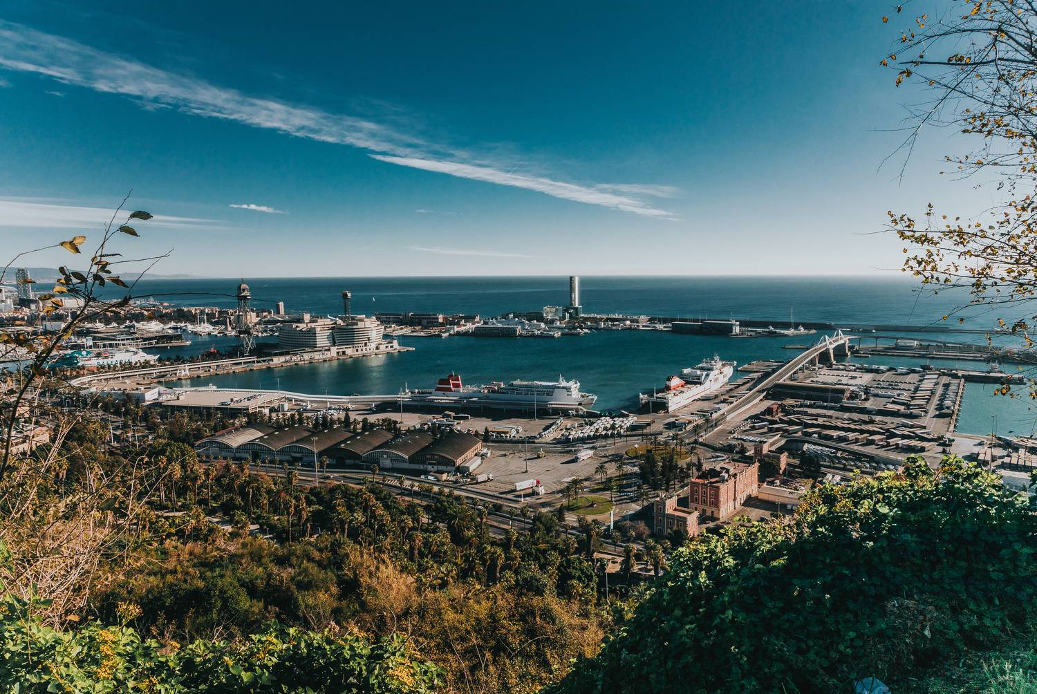 , Трепольский Дмитрий