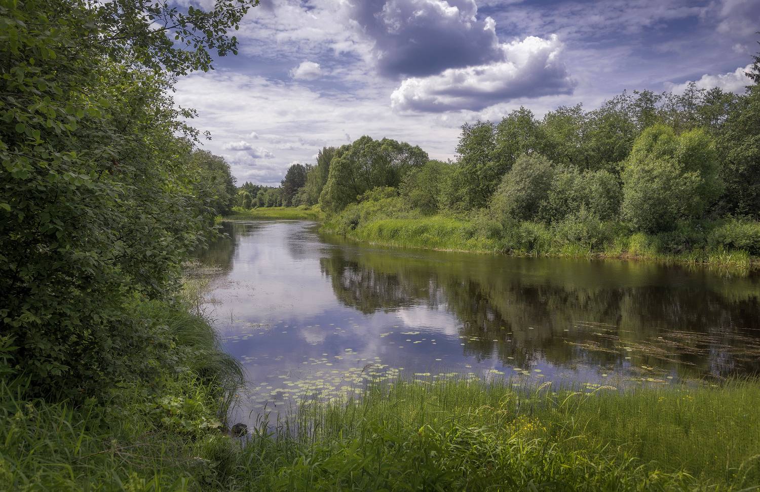 река, лес, лето, Сергей Аникин