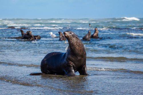 Пляжный сезон открыт