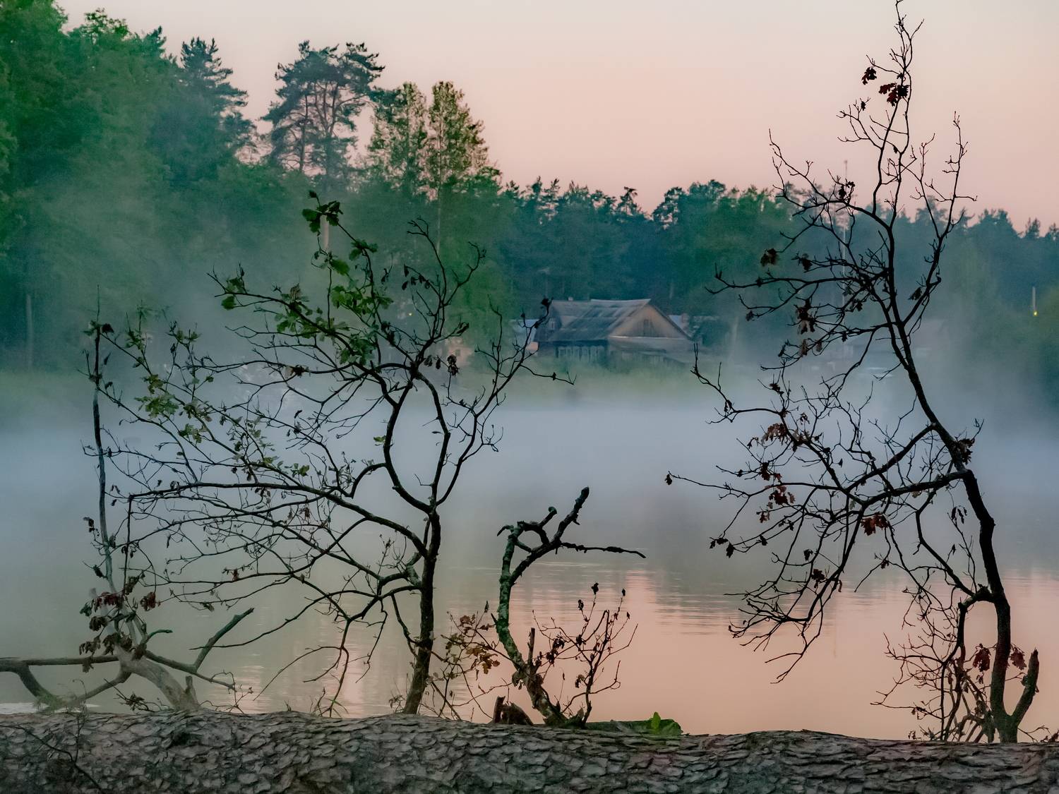 утро, лето, туман, река, берег, пейзаж, Юрий Морозов