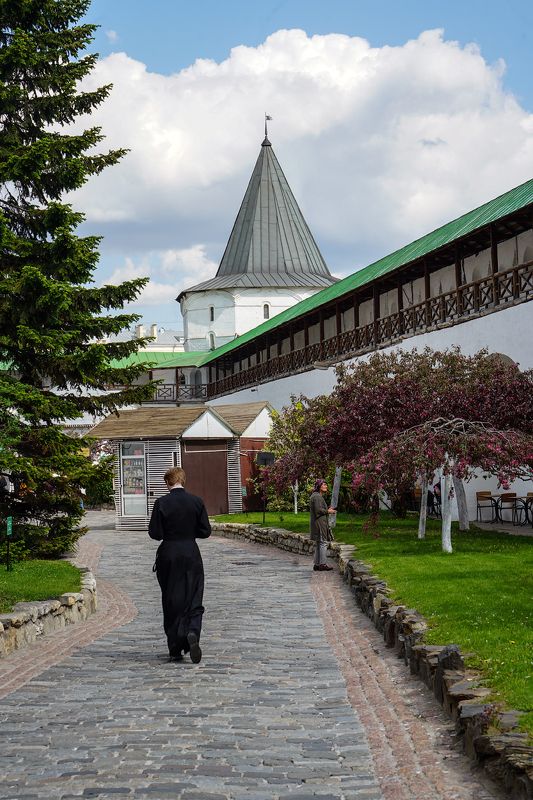 Новоспасский монастырь фото превью