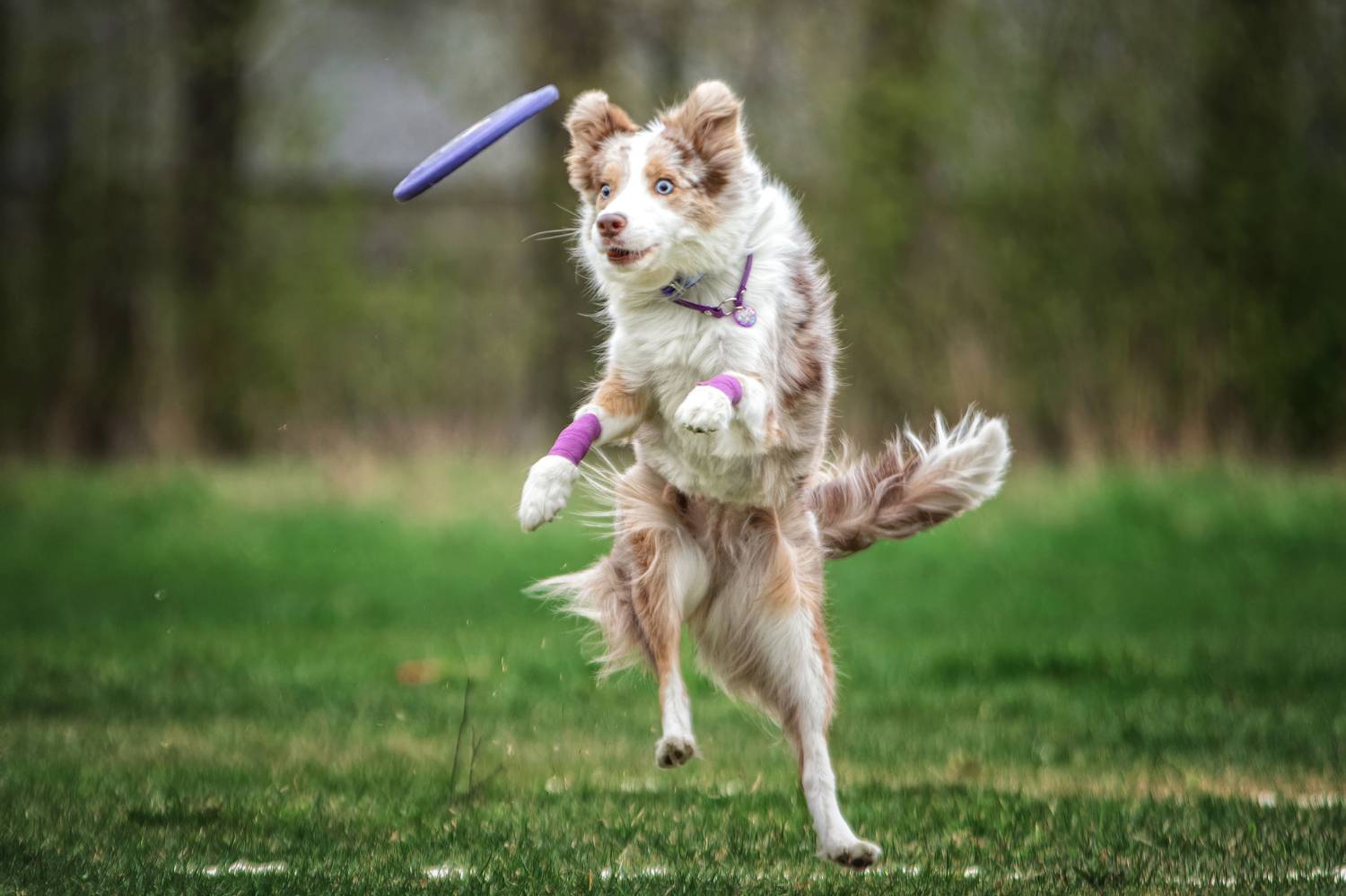 , Зубкова Юлия