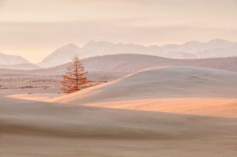Утренний вальс...  фото превью