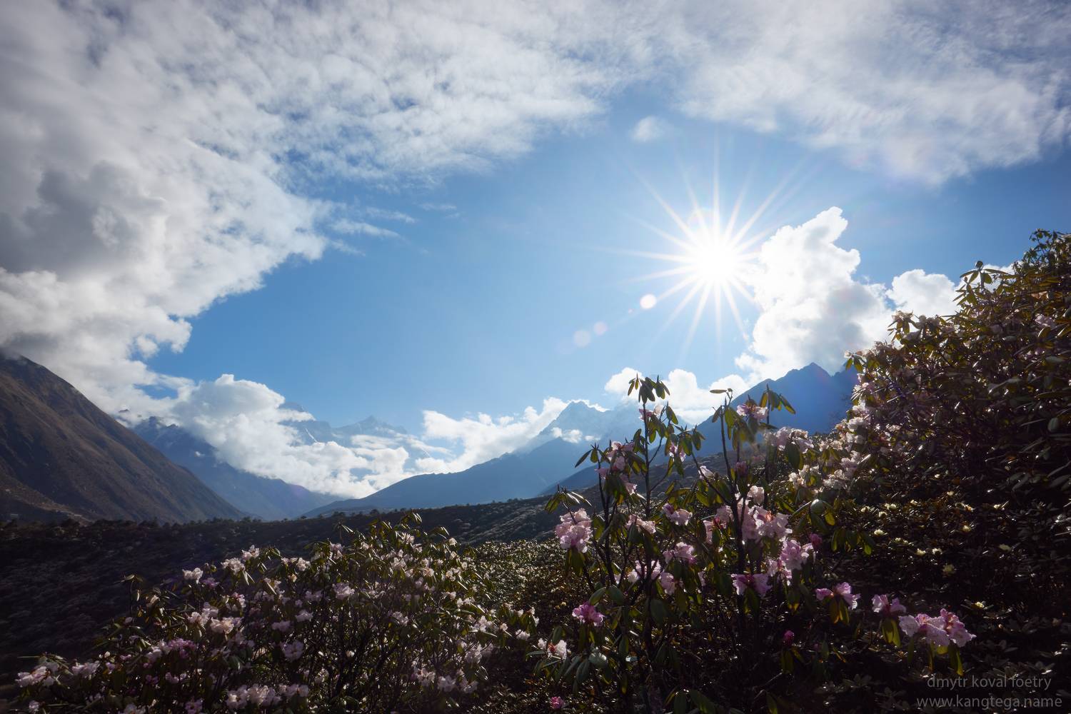 пейзажемагьё, пейзаж-как-виденье, Коваль Дмитр