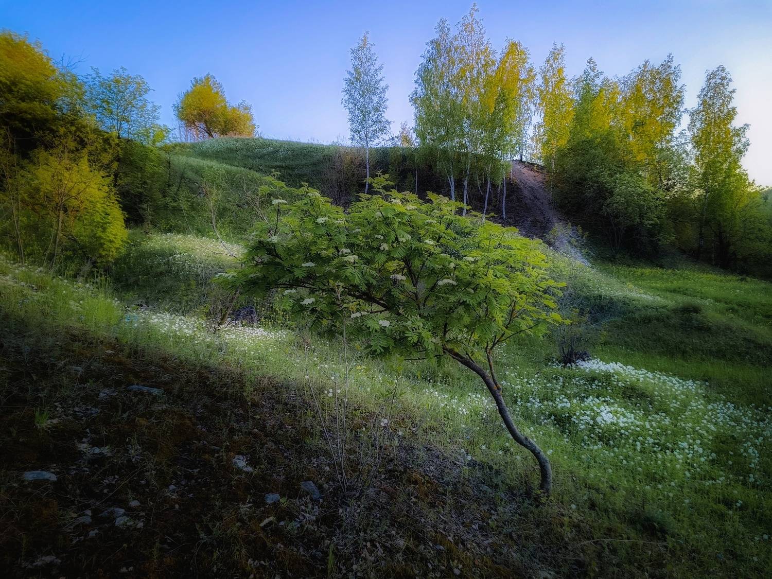 , Кондрашова Светлана