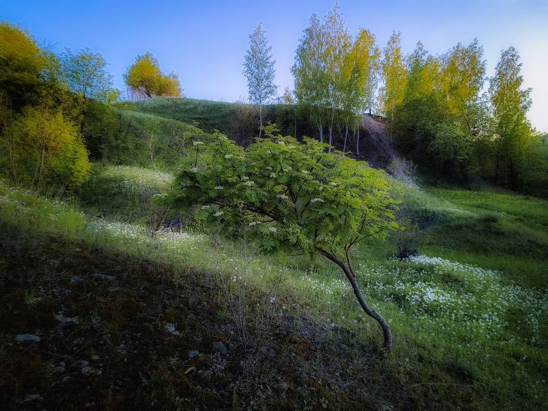 фото превью