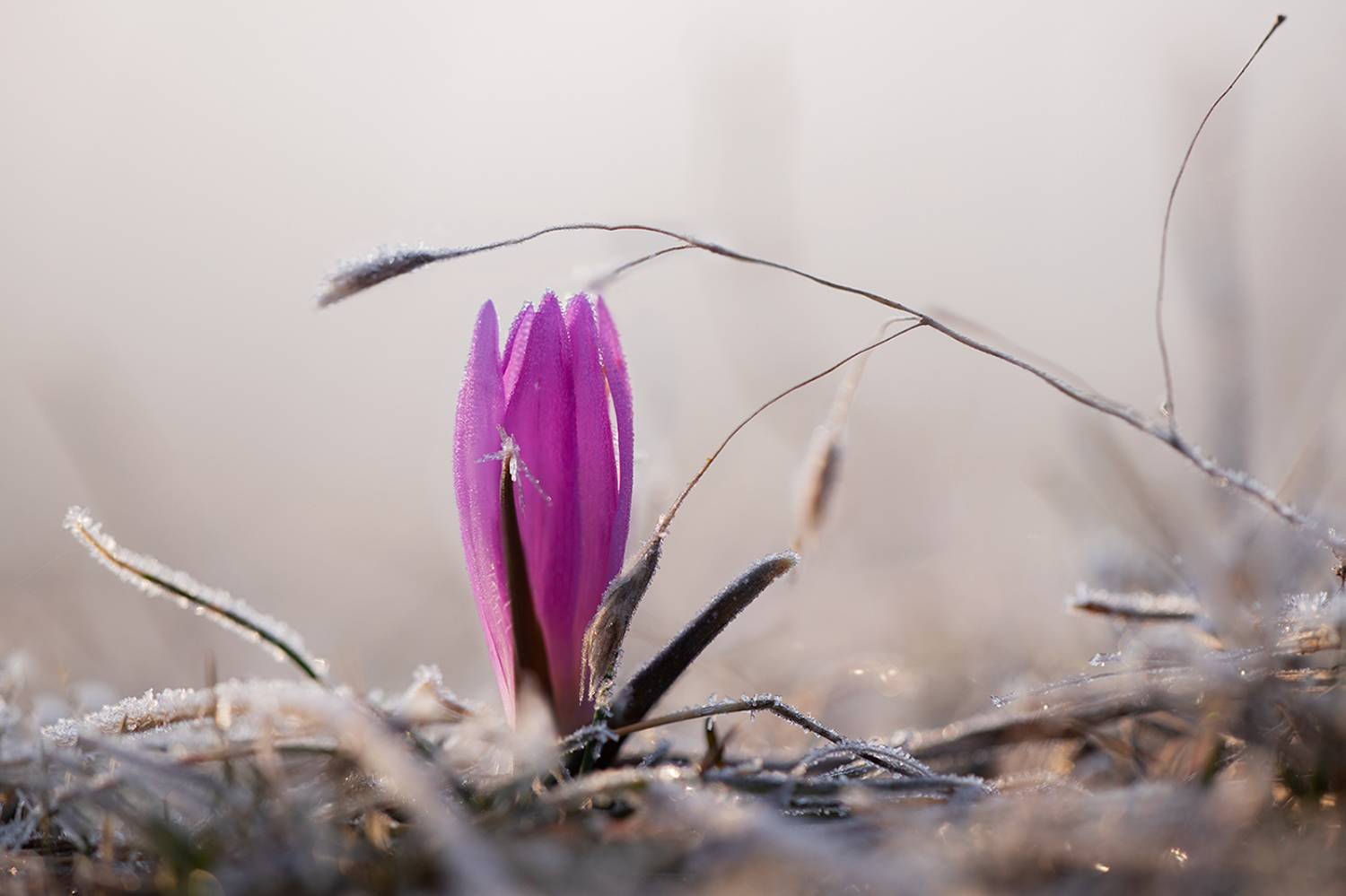 , Илья Михеев