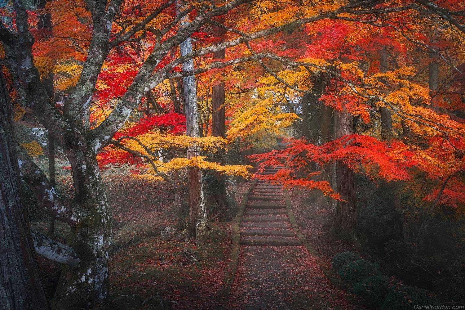 , Даниил Коржонов