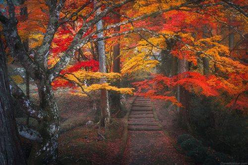 In Japan - Kyoto