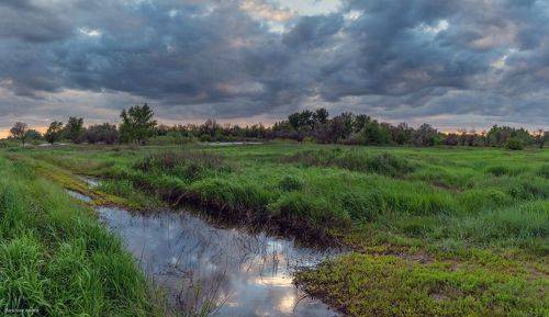 Весенний вечер