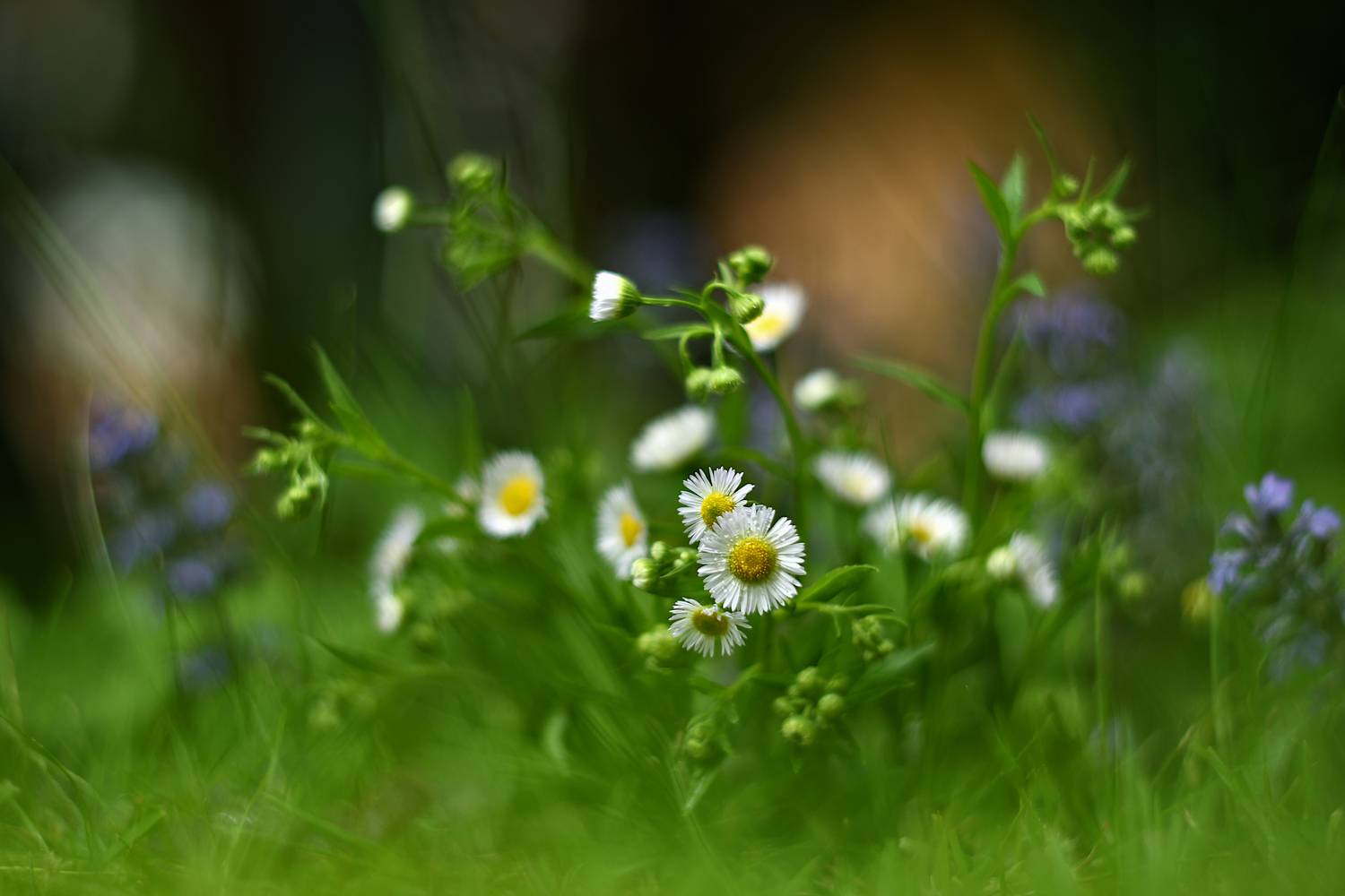 , Колобошников Эдуард