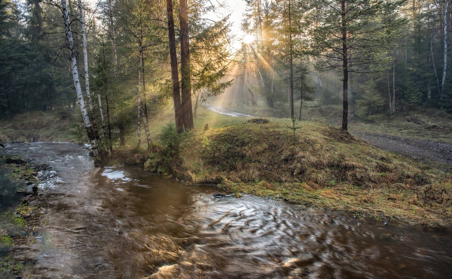 вечерние лучи, Vladim Bormotov