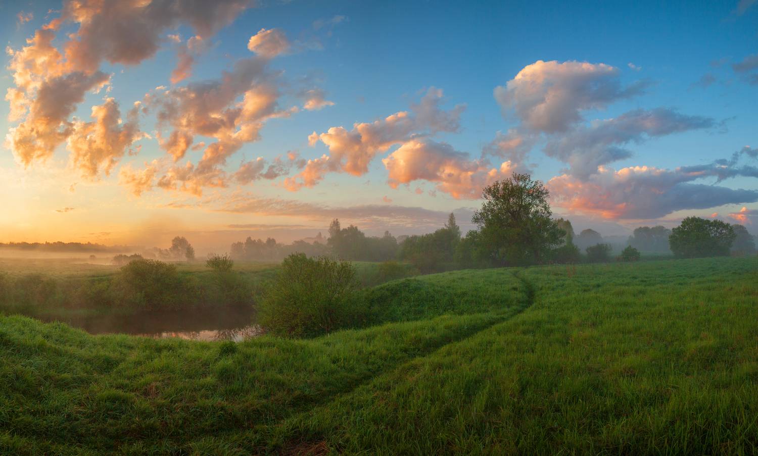рассвет, весна, лес, , Свистков Александр