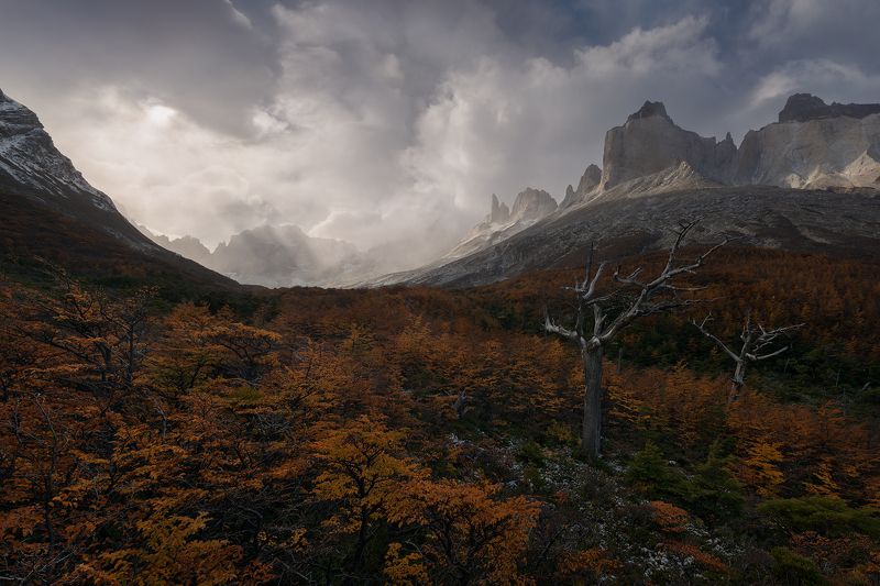 French Valley фото превью