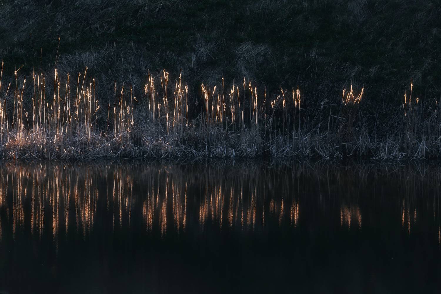 природа, весна, закат, в лучах солнца, отражение, пейзаж, Московская область, Мартыненко Дмитрий