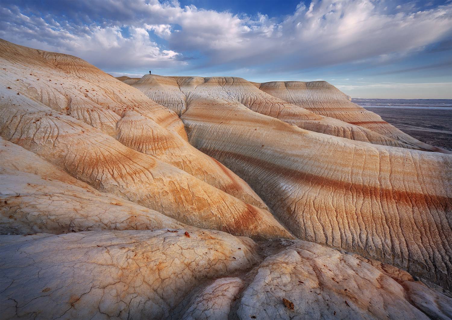 , Андрей Родионов