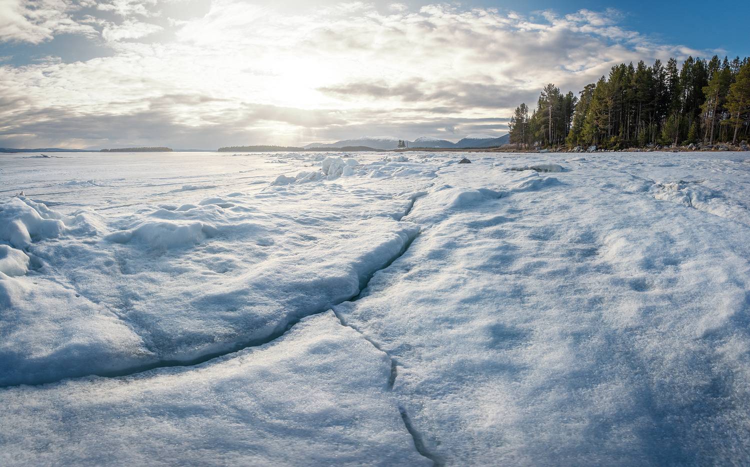 , Ян Сурогин