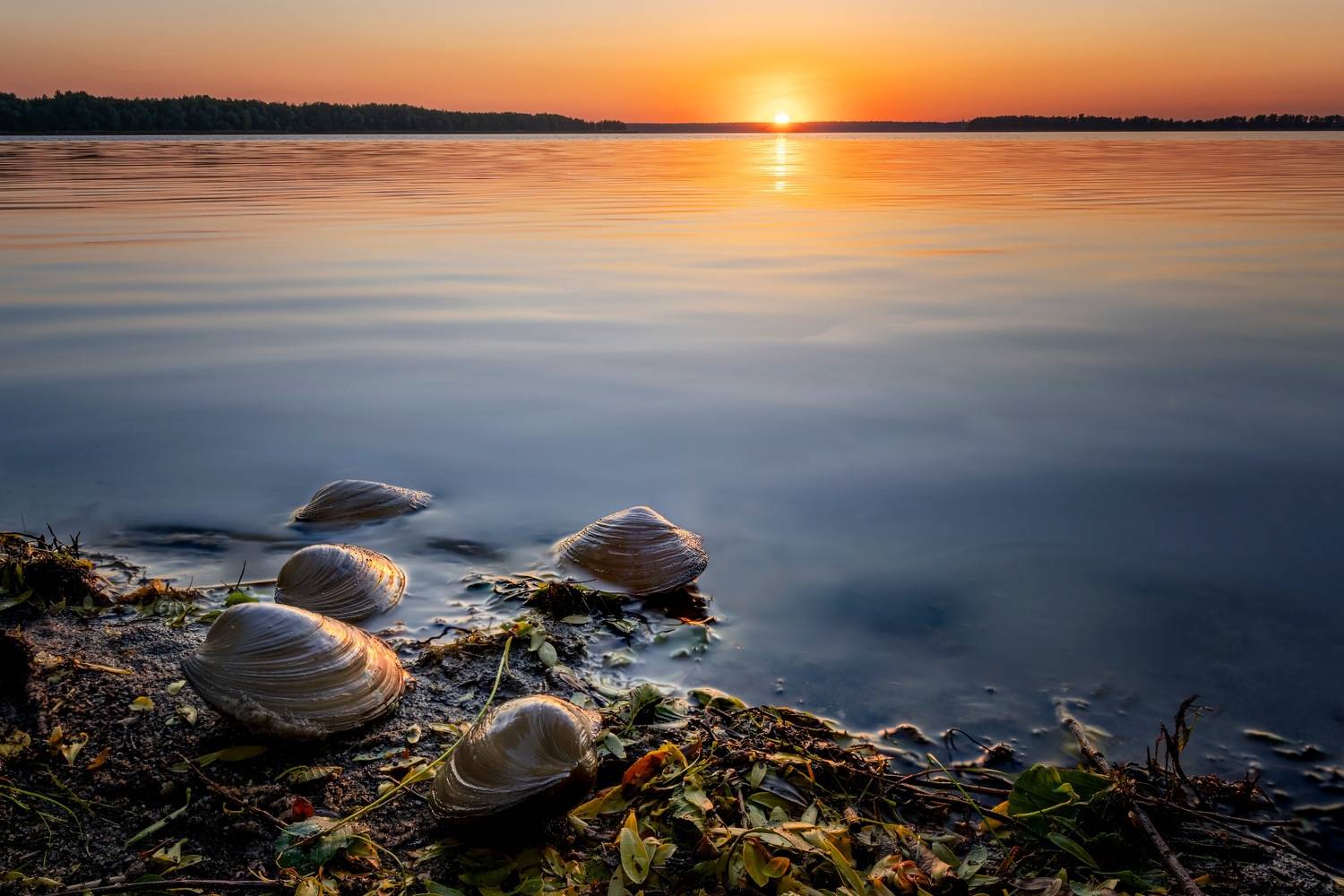 , Ширгин Сергей