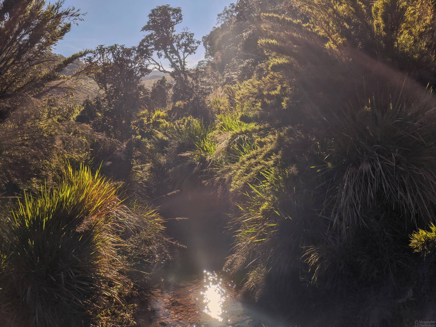 мобильная фотография, пейзаж, природа, азия, национальный парк, мобилография, путешествие, шри-ланка, sri lanka, asia, landscape, travel, nature, mobile photography, national park, Дудников Александр