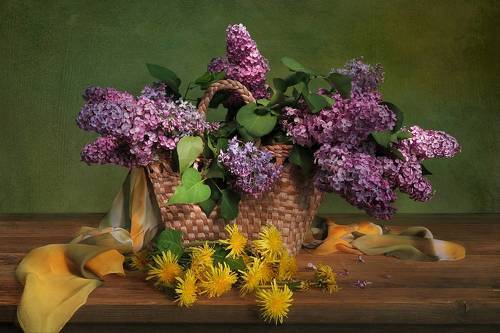 Одуванчики и сирень