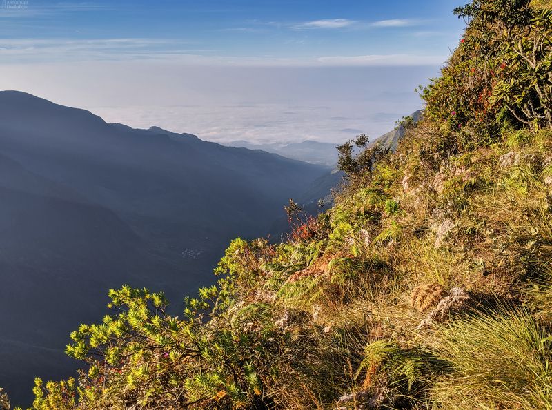 мобильная фотография, пейзаж, природа, азия, национальный парк, мобилография, путешествие, шри-ланка, sri lanka, asia, landscape, travel, nature, mobile photography, national park На Краю Света фото превью