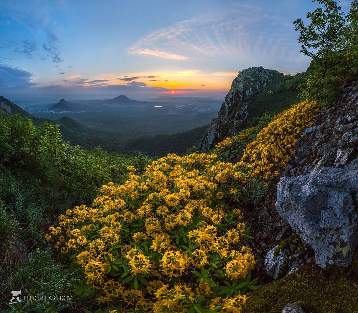 ставропольский край,  путешествие, цветы, природа, рассвет, горы, бештау, кавминводы, рододендрон, азалия, вершина, скалы, кустарник, весна, железноводск, облака, солнце, пейзаж,, Лашков Фёдор