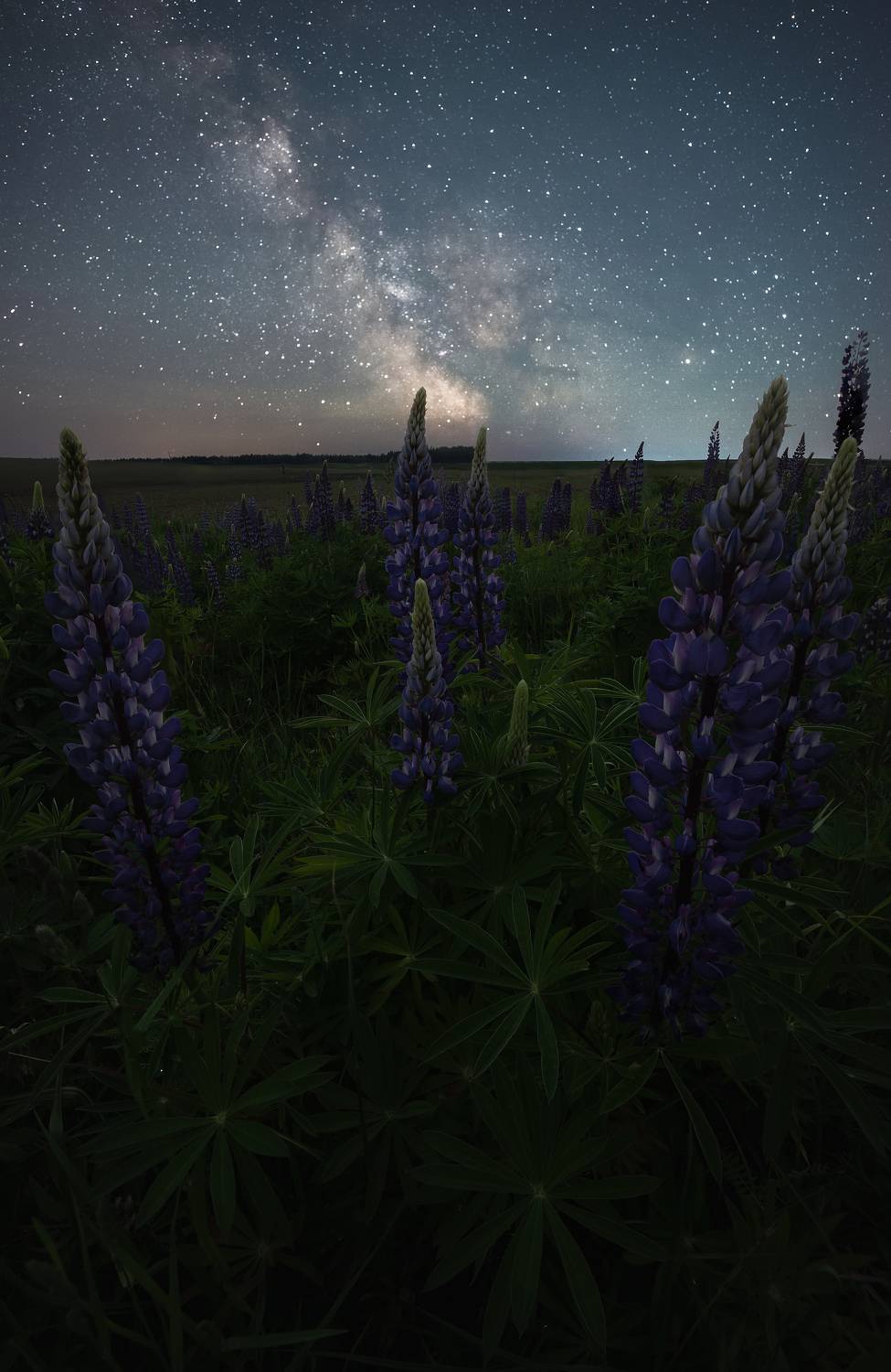 , Захаров Дмитрий