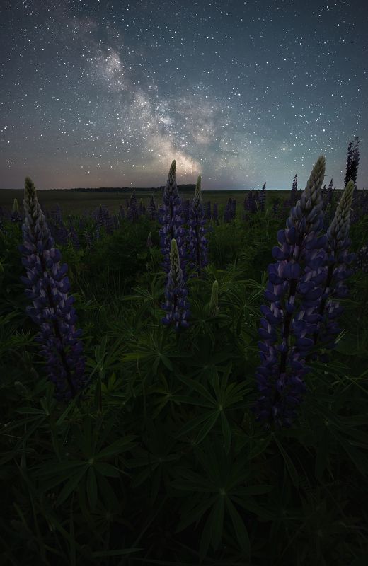Под звёздным небом фото превью