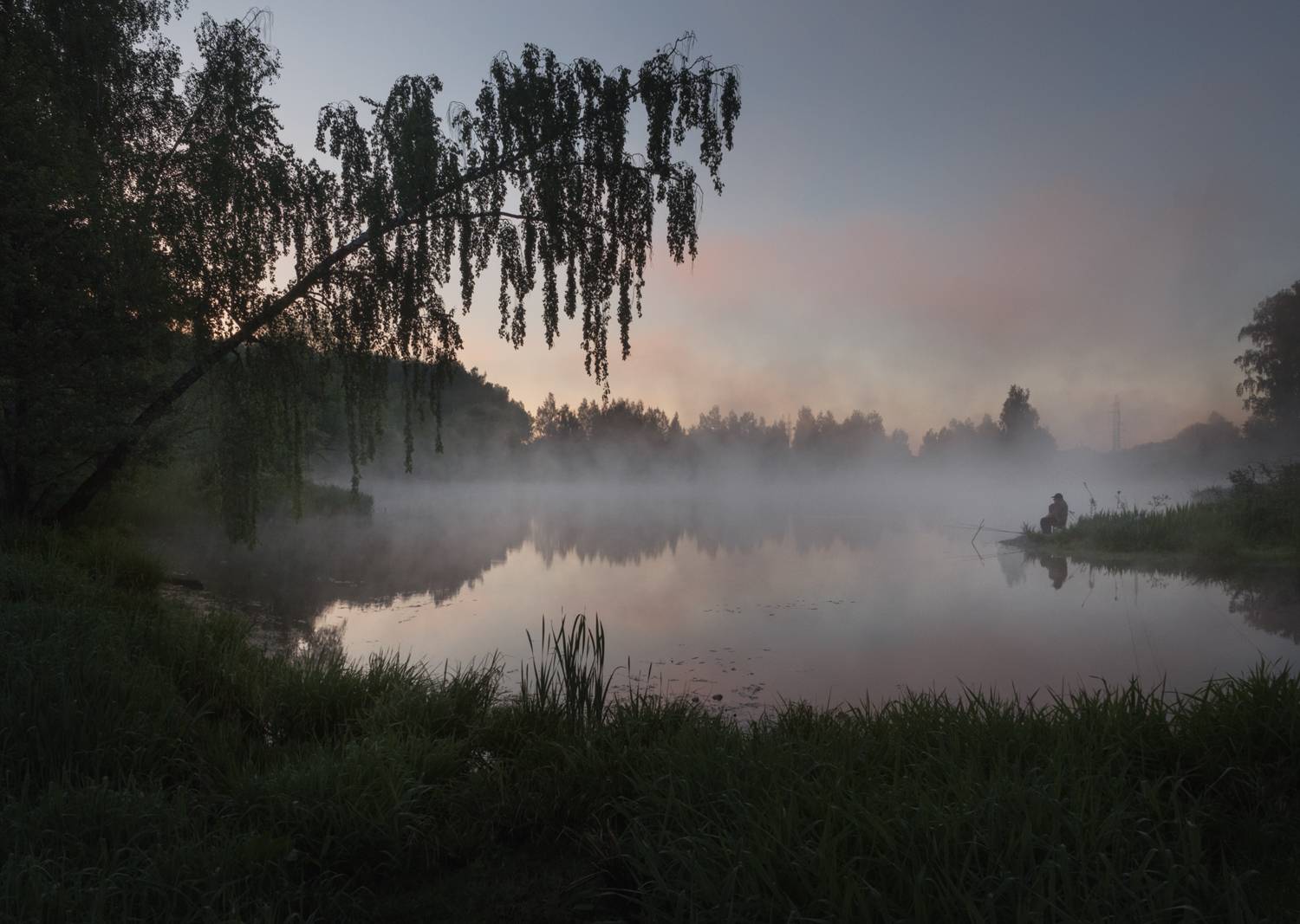 лес, свет, утро, природа, Баранов Олег