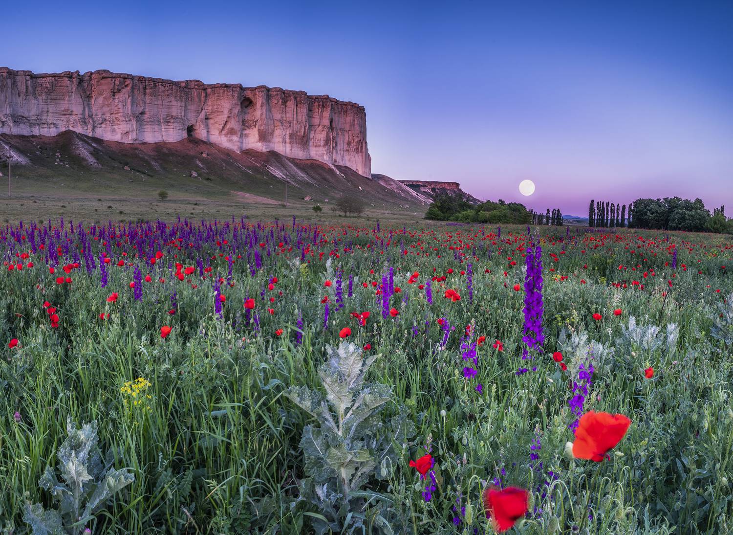 , Станислав Савицкий