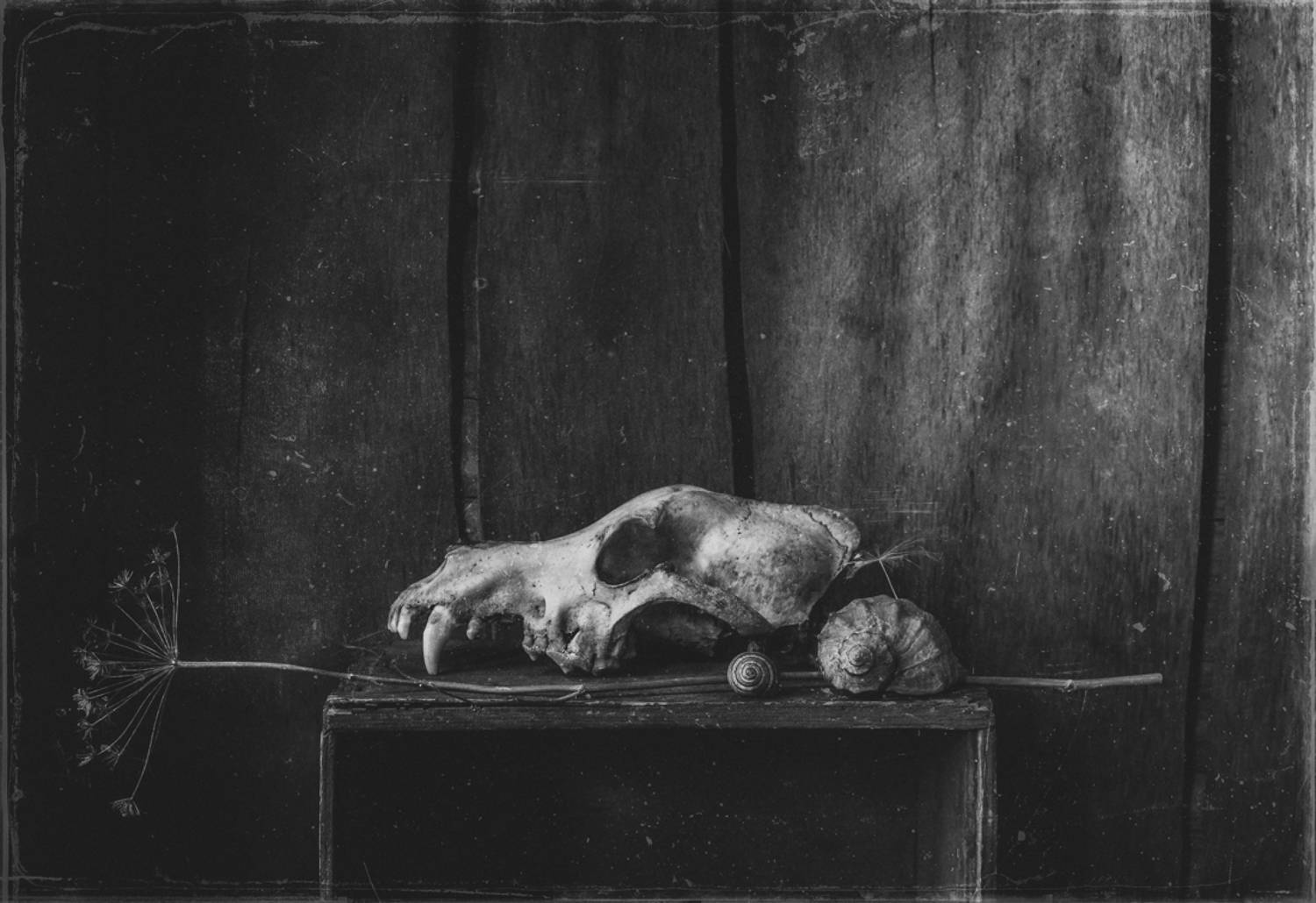 , Хромеев Александр