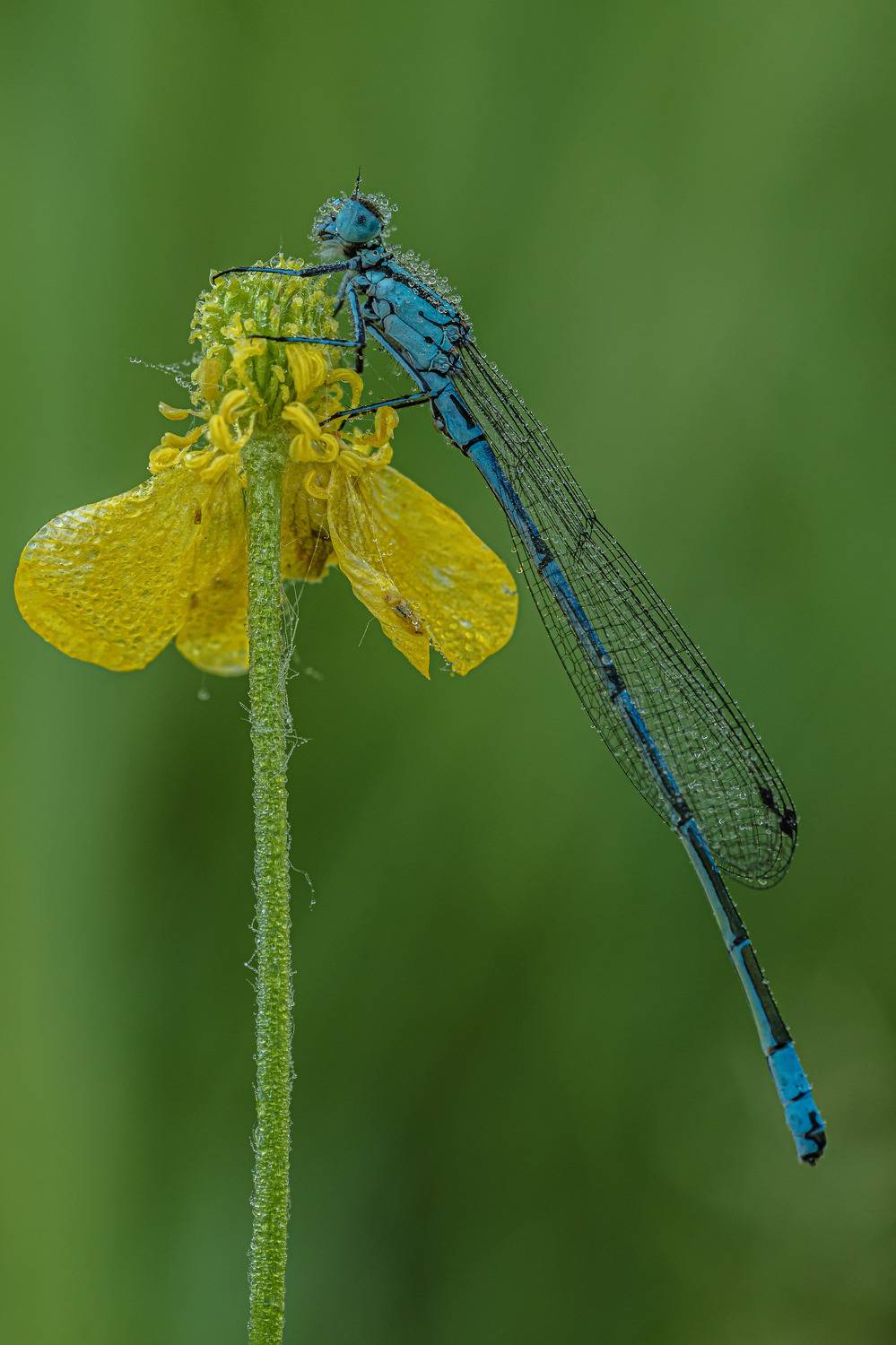 , Зайцев Роман