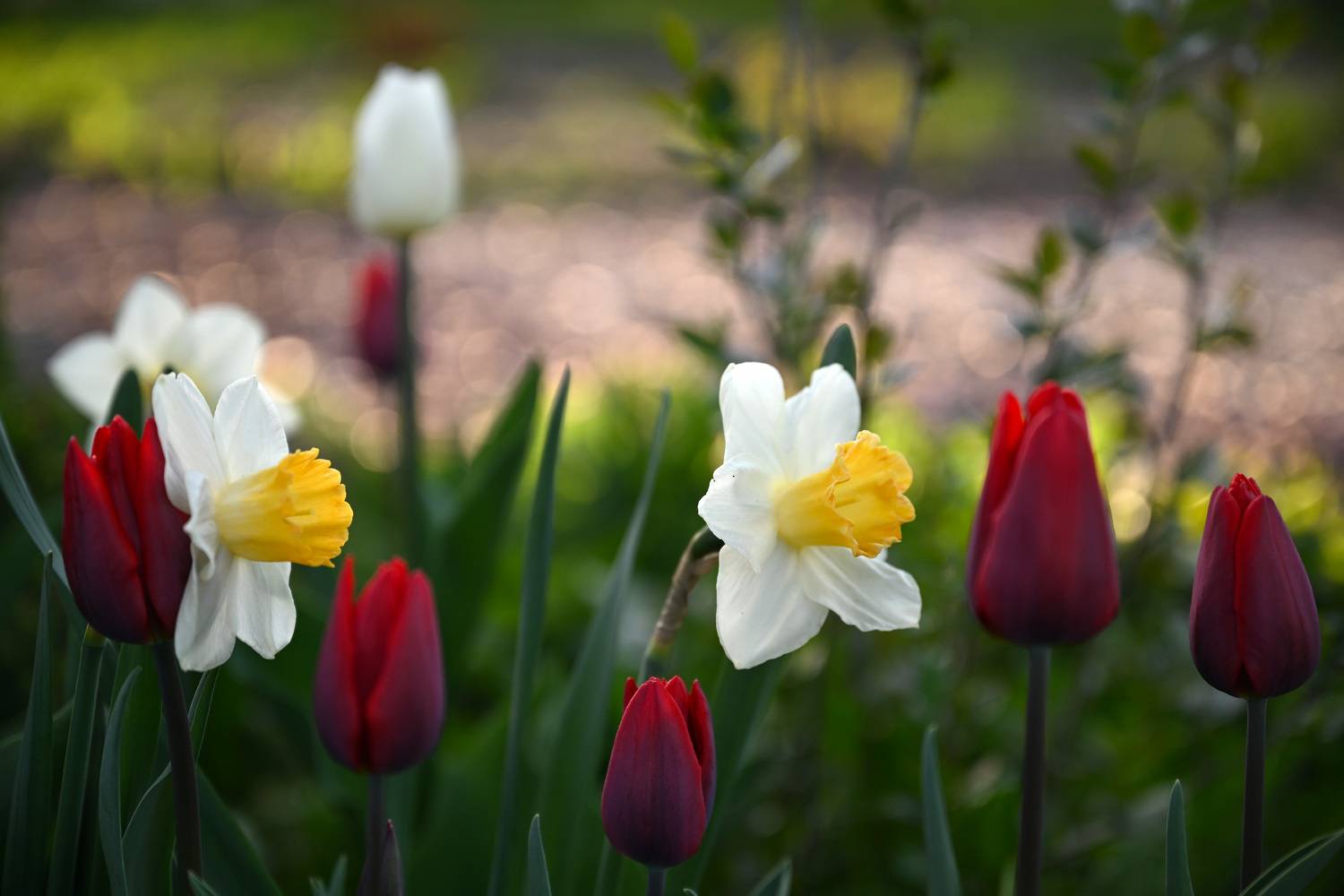 , Пётр Калачев