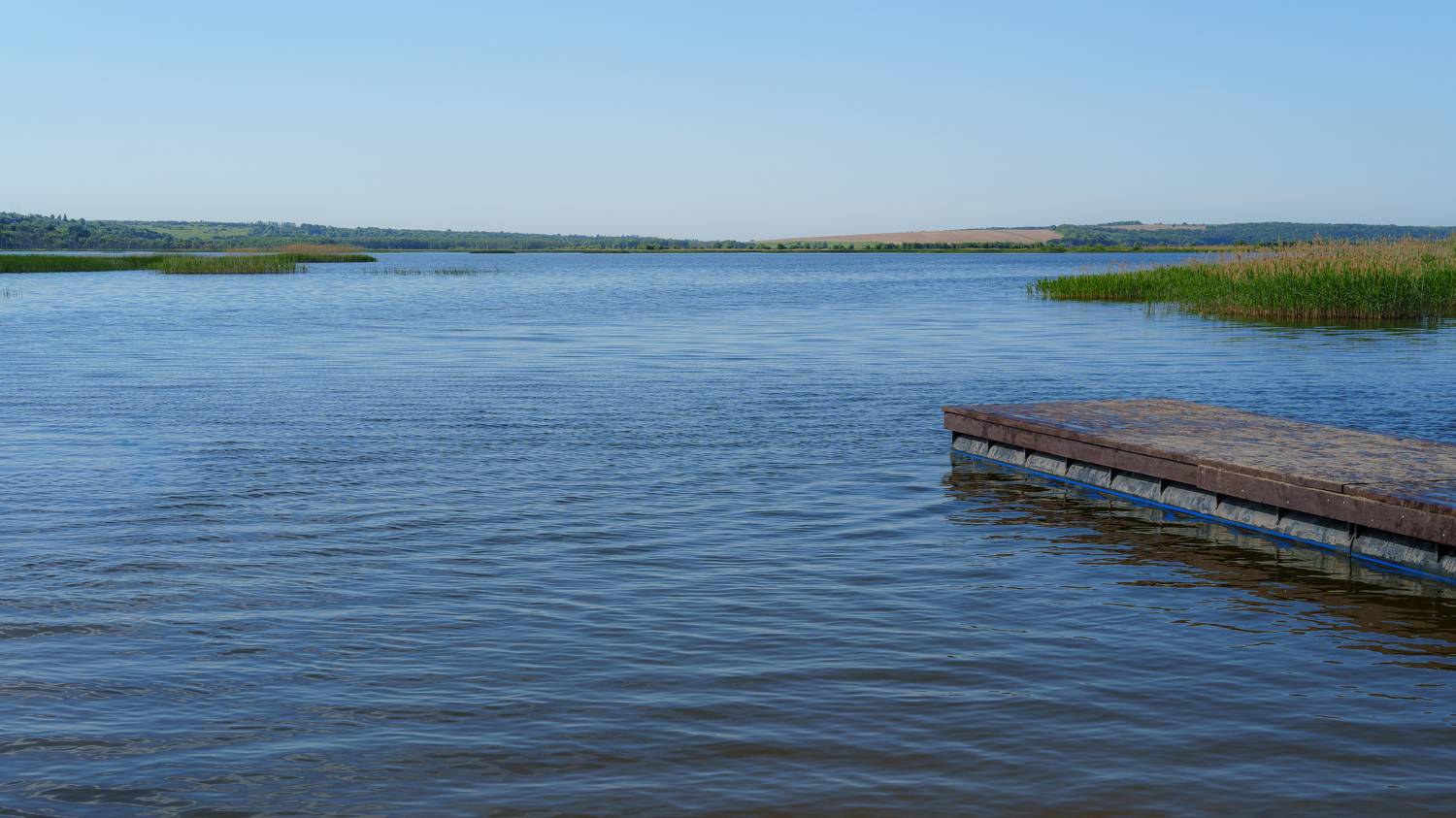 , Вертиков Юрий