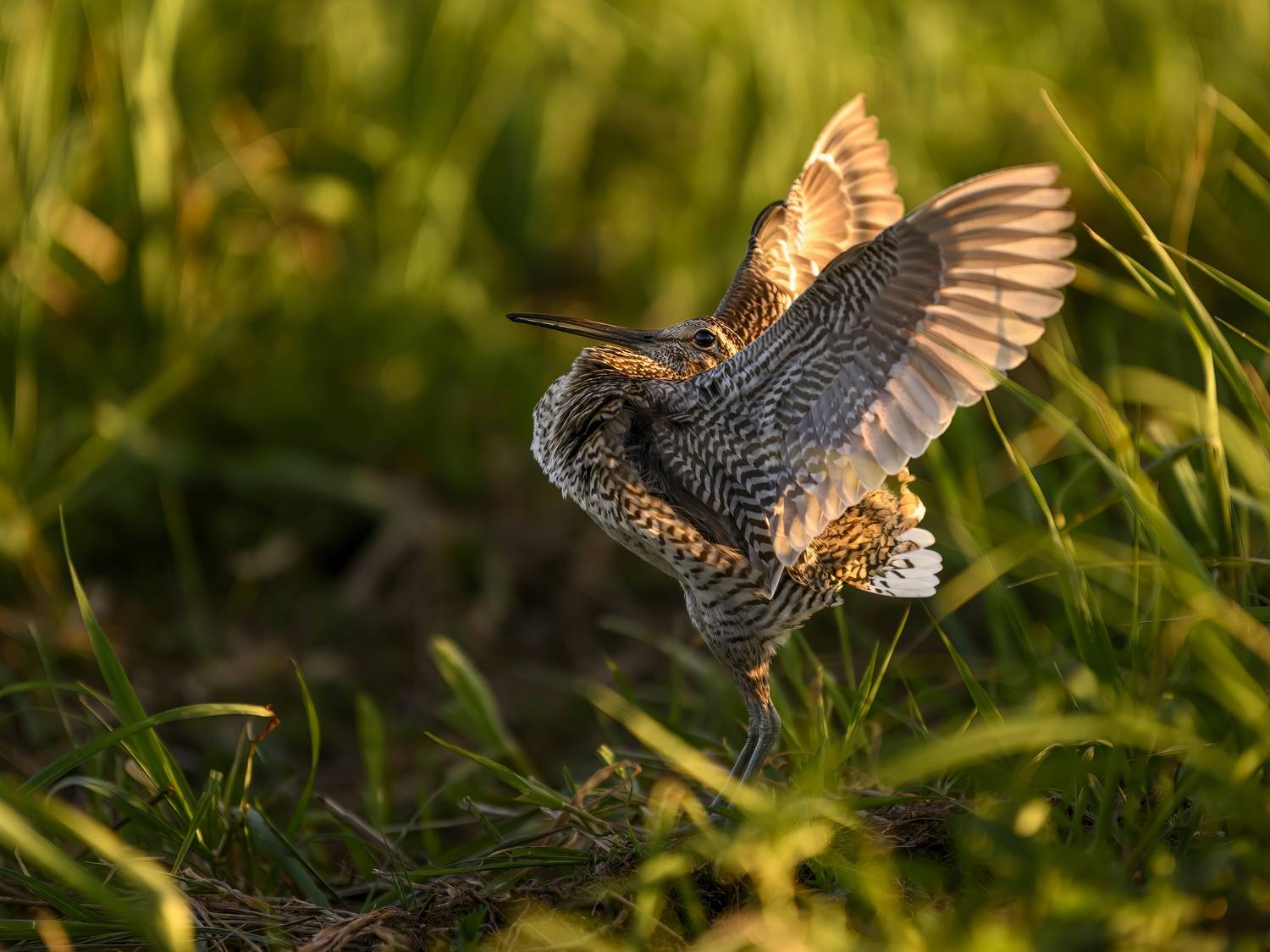 , Пупонин Сергей