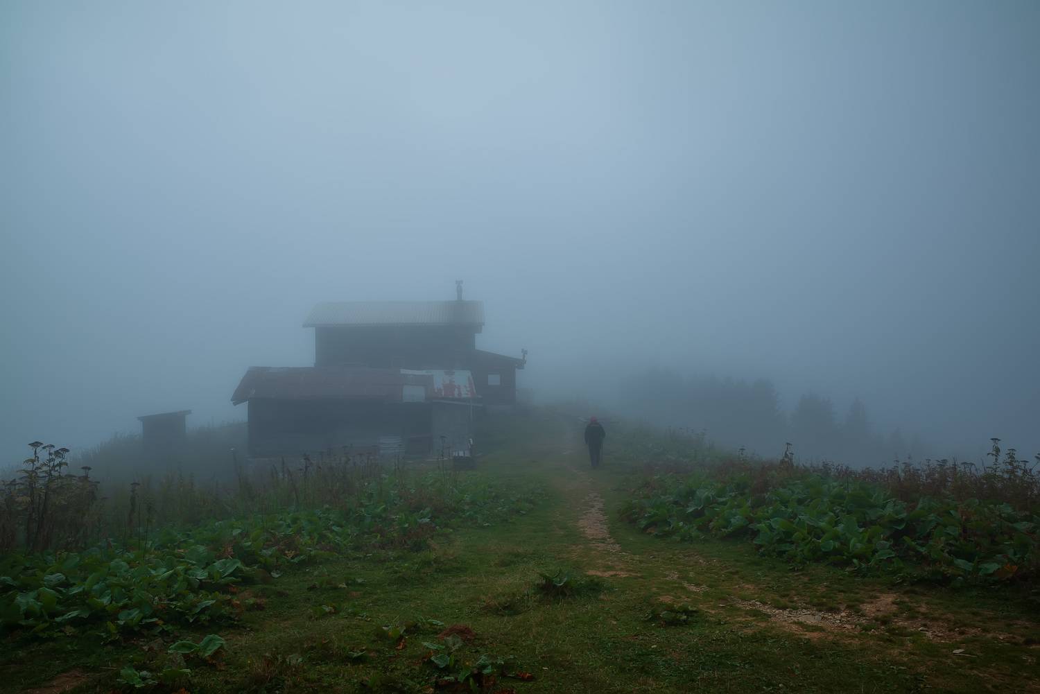 туман, вечер, в горах, деревня, Ольга Рагинская