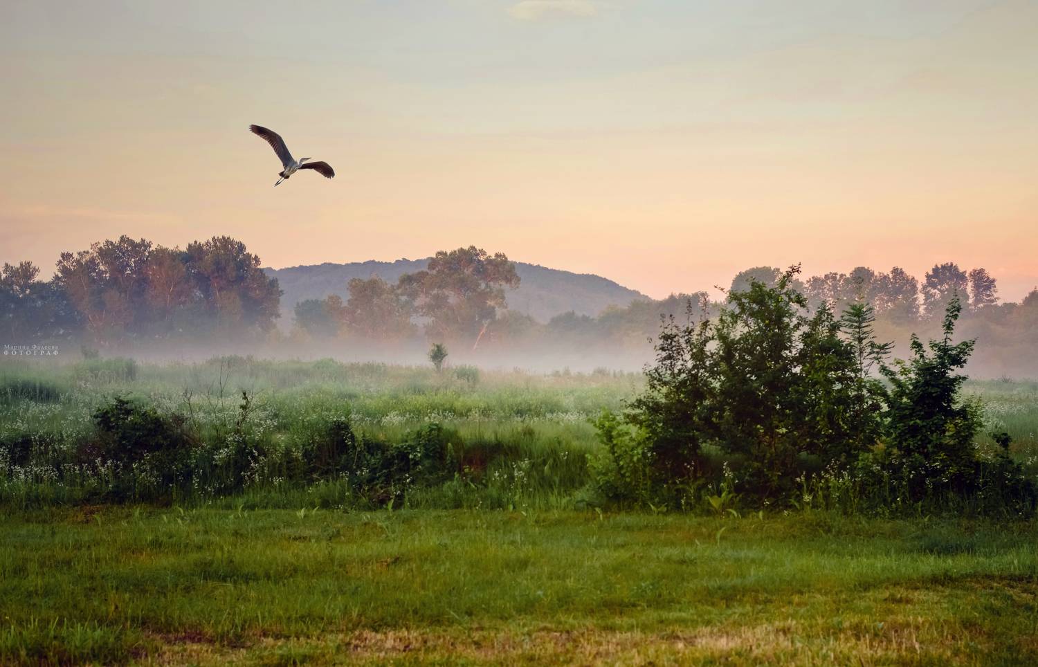 пейзаж, дымка, природа,, Фадеева Марина
