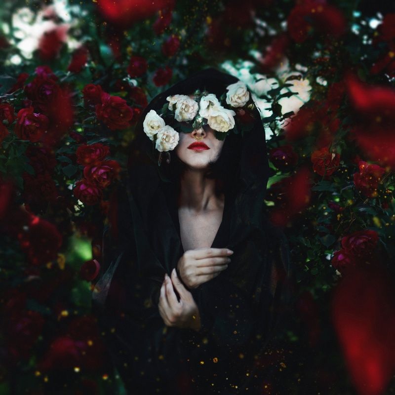 Dorothy Perkins фото превью