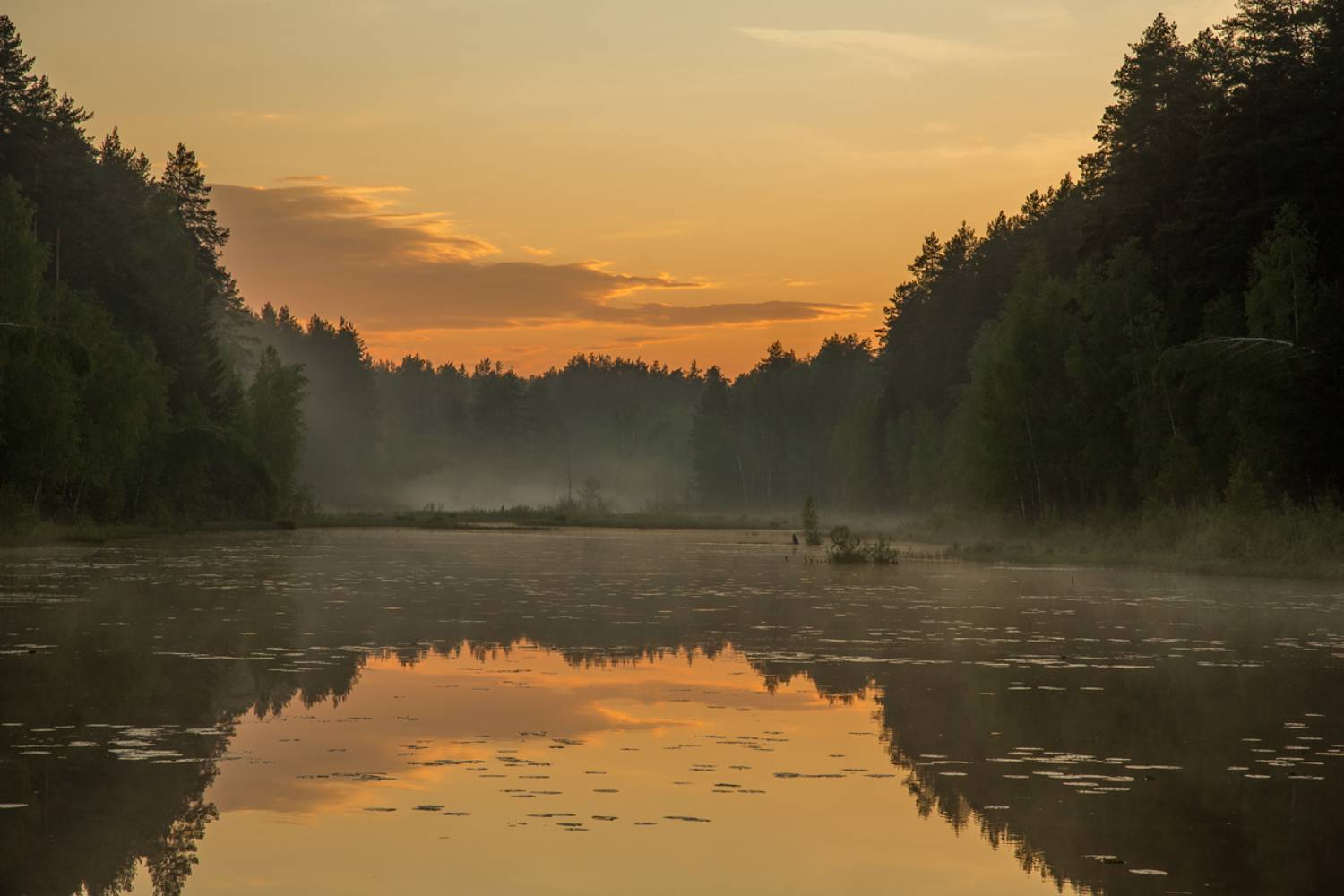 закат вечер лес речка отражение суходол серково, Алексеев Дмитрий